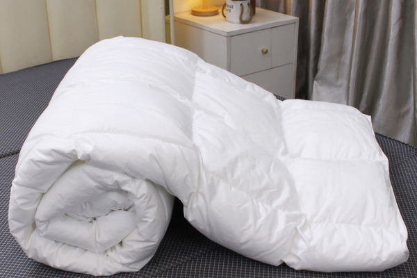 ruột chăn tại Bắc Giang