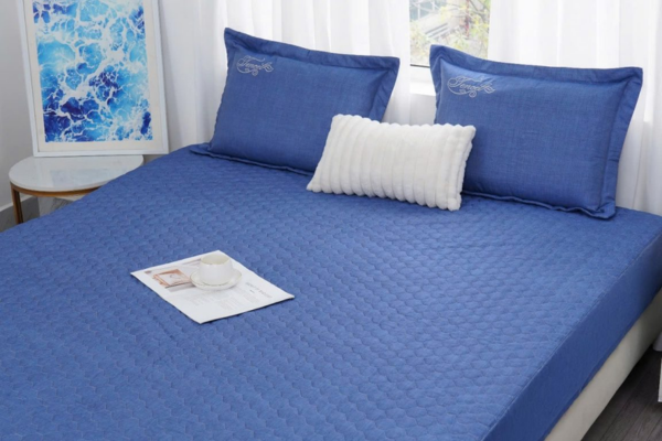 ga gối tại Bắc Giang