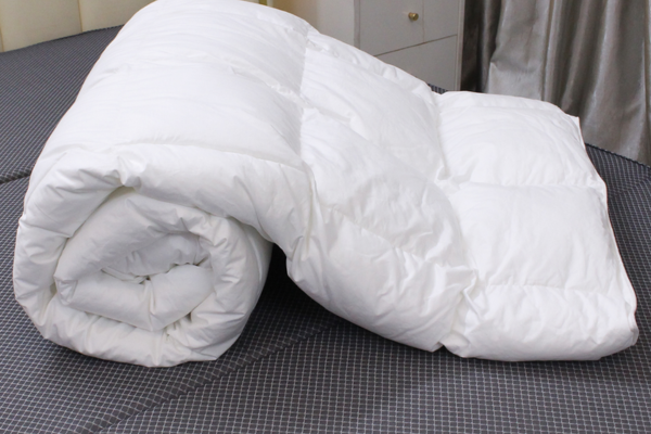 ruột chăn tại Ninh Bình