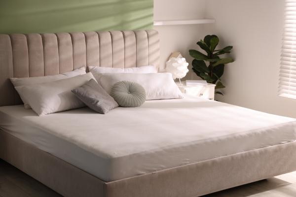 đệm lò xo tại Ninh Bình