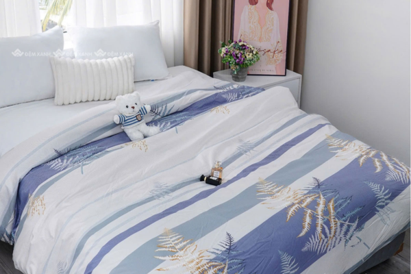 chăn đông tại Hải Phòng