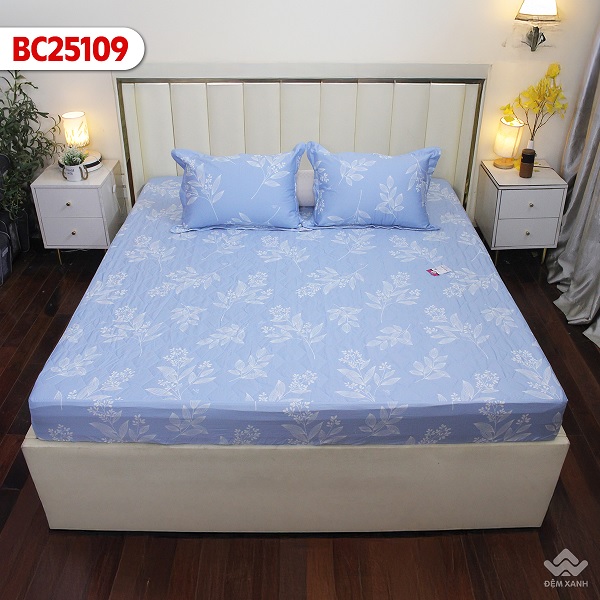 Ga gối Sông Hồng Basic Cotton