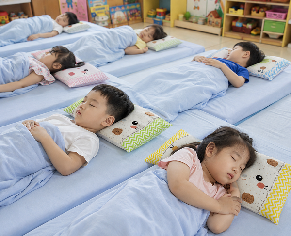 Các mẫu gối cho trường mẫu giáo, tiểu học bền đẹp, giá tốt